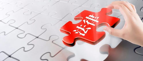 金稅四期時(shí)代 企業(yè)資產(chǎn)管理的合規(guī)挑戰(zhàn)與應(yīng)對(duì)策略