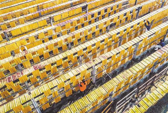 百年粉條與現(xiàn)代科技融合 配套項(xiàng)目建設(shè)與技術(shù)開(kāi)發(fā)的雙輪驅(qū)動(dòng)